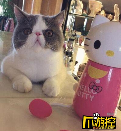 李晨含蓄秀恩爱微博深夜晒范冰冰照片