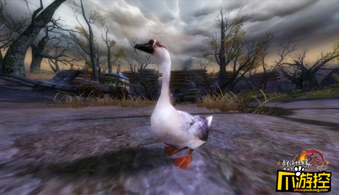 剑三宠物鹅小灰怎么抓 鹅小灰抓取流程攻略-爪游控