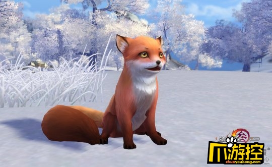 剑网3风骨霸刀奇遇宠物 剑网3风骨霸刀奇遇宠