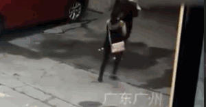 悲剧了!天降大狗砸中路人 狗没事人却砸断颈椎住进ICU