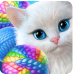 可爱的小猫 可爱的小猫