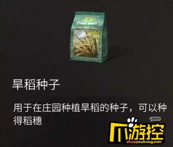 明日之后雷雨抵抗力食谱大全