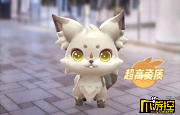 一起来捉妖小狐狸哪里多