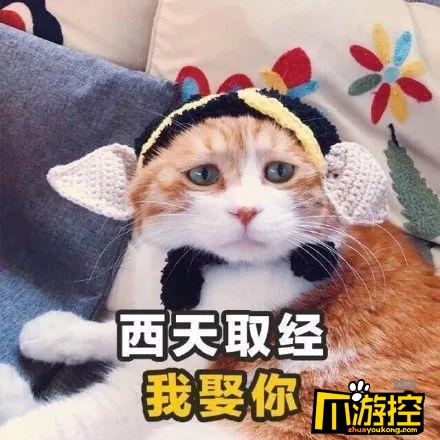 2018最新土味情话套路_2018最新撩人套路情话